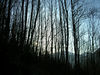 Katherine Copley > Chamonix March 2007 photo
