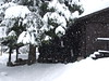 Katherine Copley > Mazot in the snow (we had about 2 metres of snow in four days)