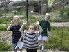 Katherine Copley > Max, Oscar and Theo at Basel Zoo