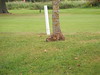 Katherine Copley > Lady Captain's Day 22nd September 2007 photo