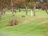 Katherine Copley > Lady Captain's Day 22nd September 2007 photo