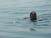 Katherine Copley > Hannah drowning in the lake!