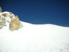 Katherine Copley > Looking back up the arête and the start of the run