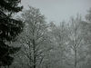 Katherine Copley > Snowing outside the mazot