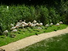 Katherine Copley > Bristol Zoo July 2006 photo
