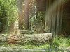 Katherine Copley > Bristol Zoo July 2006 photo
