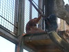 Katherine Copley > Bristol Zoo July 2006 photo