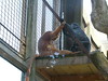 Katherine Copley > Bristol Zoo July 2006 photo