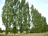 Katherine Copley > Vendee August 2006 photo